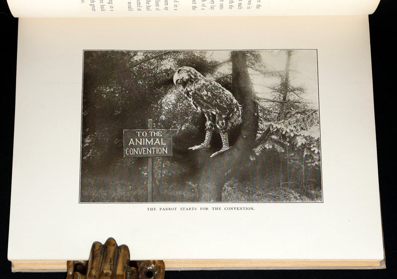 1915 First Edition Photo Play - Alice's Adventures in Wonderland illustrated