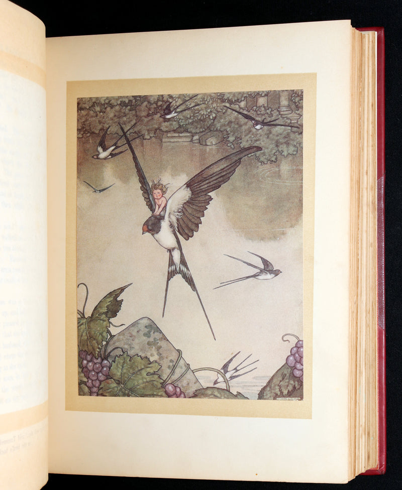 1913 First Edition- Hans Andersen's Fairy Tales illustrated by W. Heath Robinson