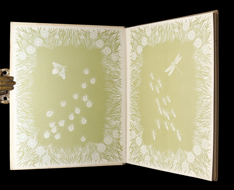 1922 Rare First Edition - Little Tom by Václav Tille illustrated by Otakar Štafl