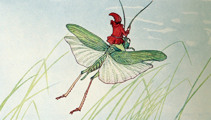 1922 Rare First Edition - Little Tom by Václav Tille illustrated by Otakar Štafl