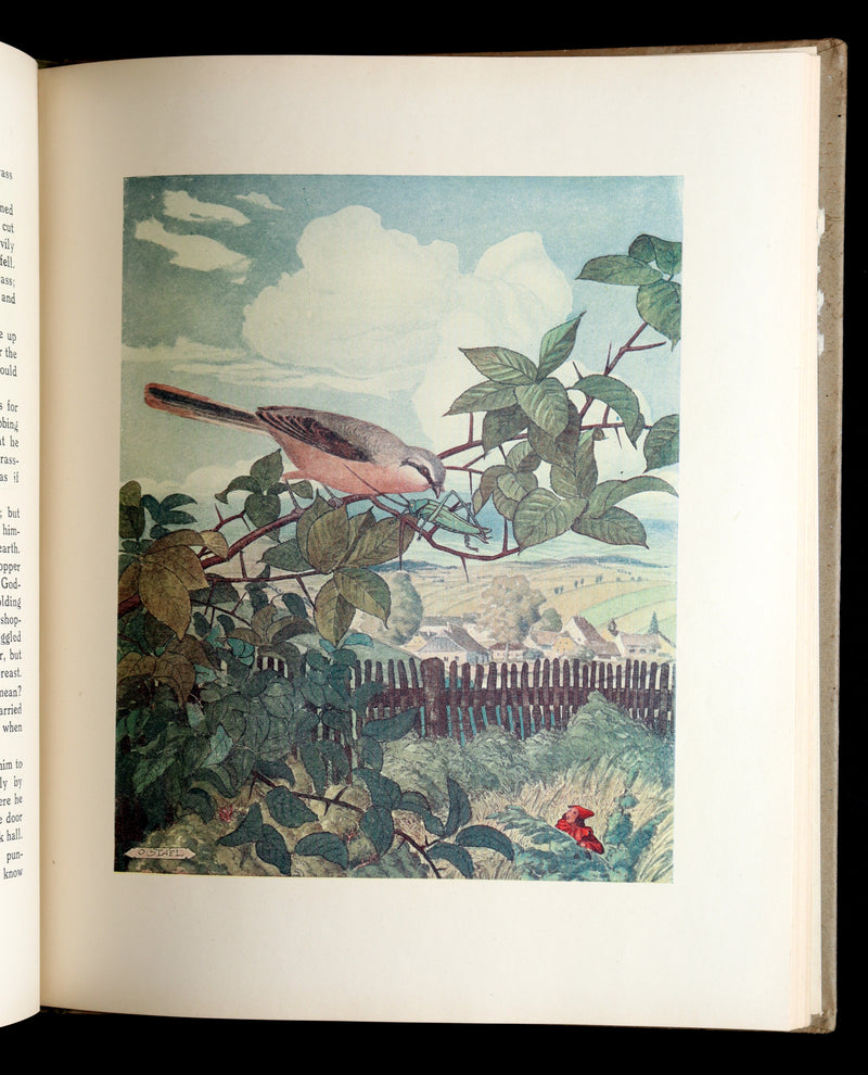 1922 Rare First Edition - Little Tom by Václav Tille illustrated by Otakar Štafl