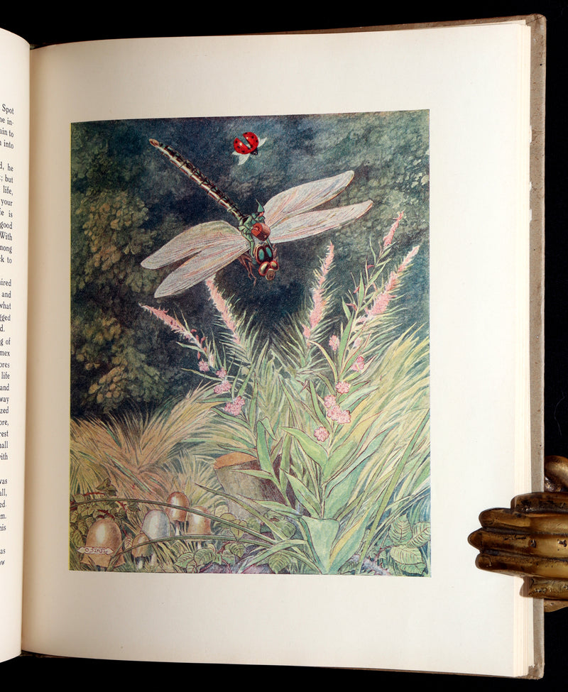 1922 Rare First Edition - Little Tom by Václav Tille illustrated by Otakar Štafl