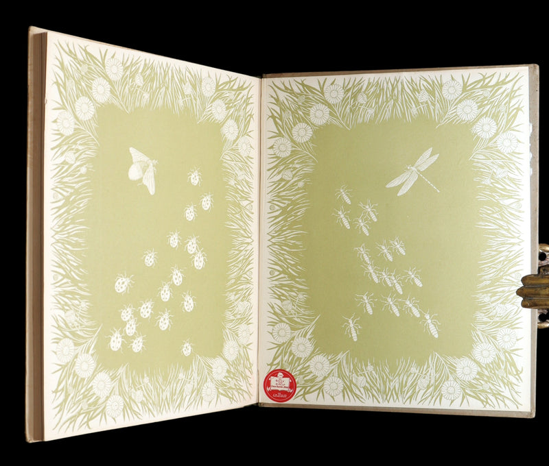 1922 Rare First Edition - Little Tom by Václav Tille illustrated by Otakar Štafl