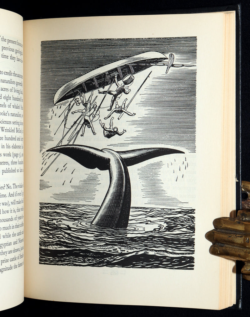 1930 Rare First Edition - Moby Dick by Melville illustrated by Rockwell Kent