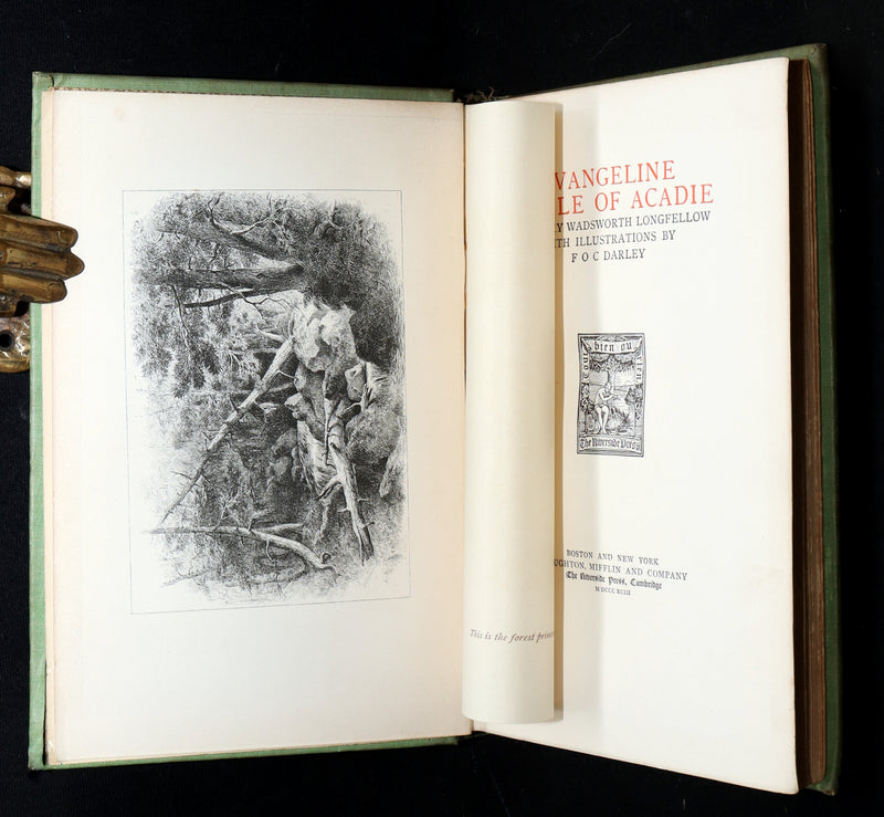 1893 Rare Book - Evangeline, A Tale of Acadie illustrated by F O C Darley