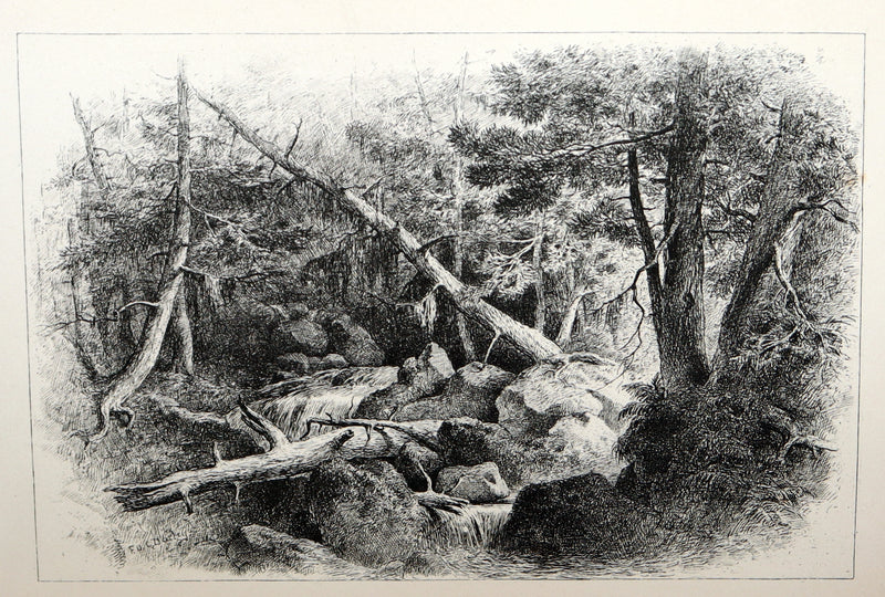 1893 Rare Book - Evangeline, A Tale of Acadie illustrated by F O C Darley