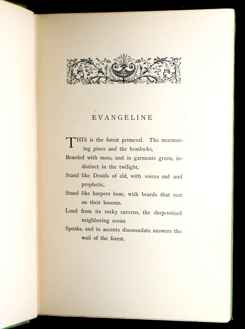 1893 Rare Book - Evangeline, A Tale of Acadie illustrated by F O C Darley