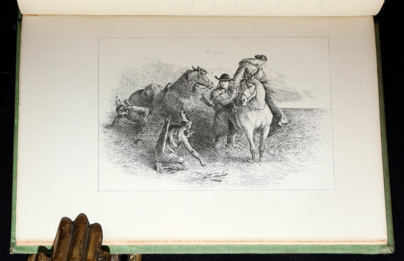 1893 Rare Book - Evangeline, A Tale of Acadie illustrated by F O C Darley