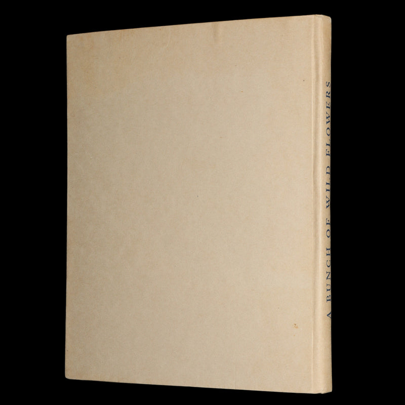 1934 First Edition- A Bunch of Wild Flowers illustrated by Ida Rentoul Outhwaite