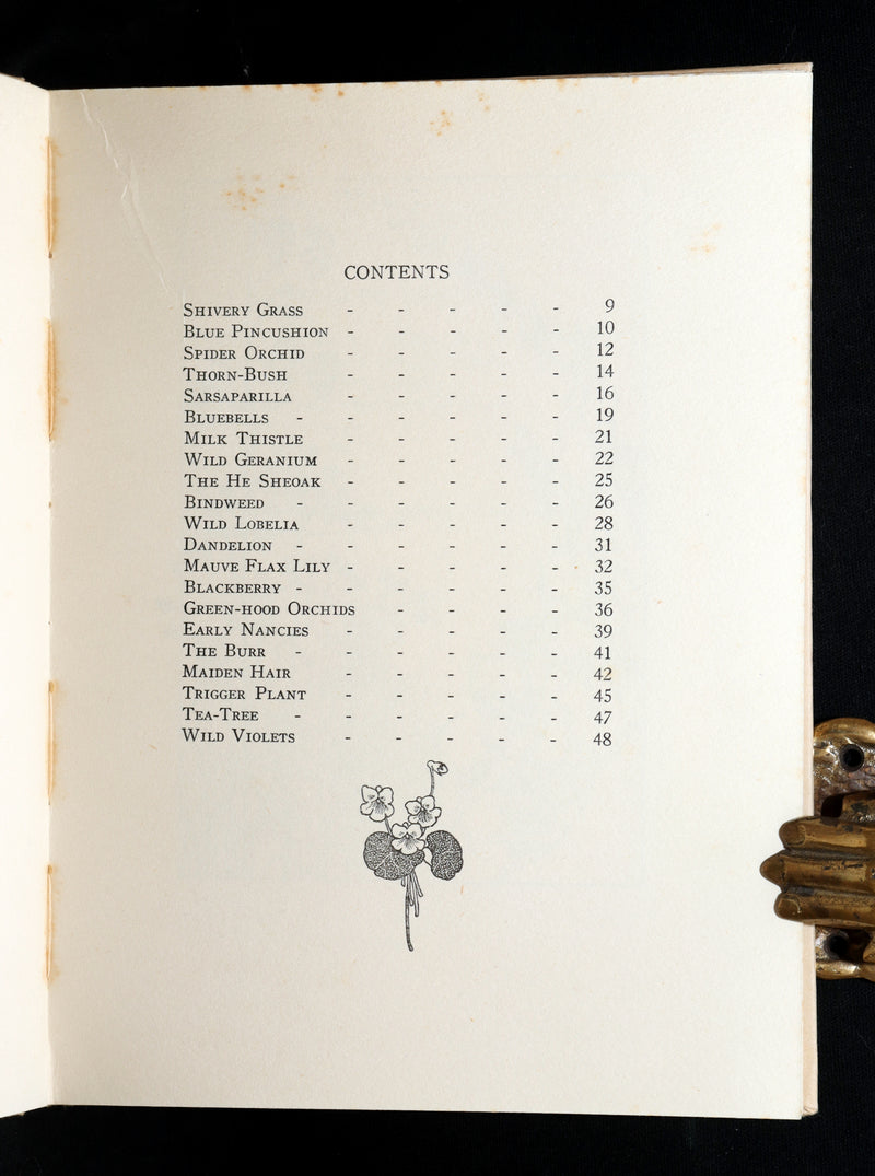 1934 First Edition- A Bunch of Wild Flowers illustrated by Ida Rentoul Outhwaite