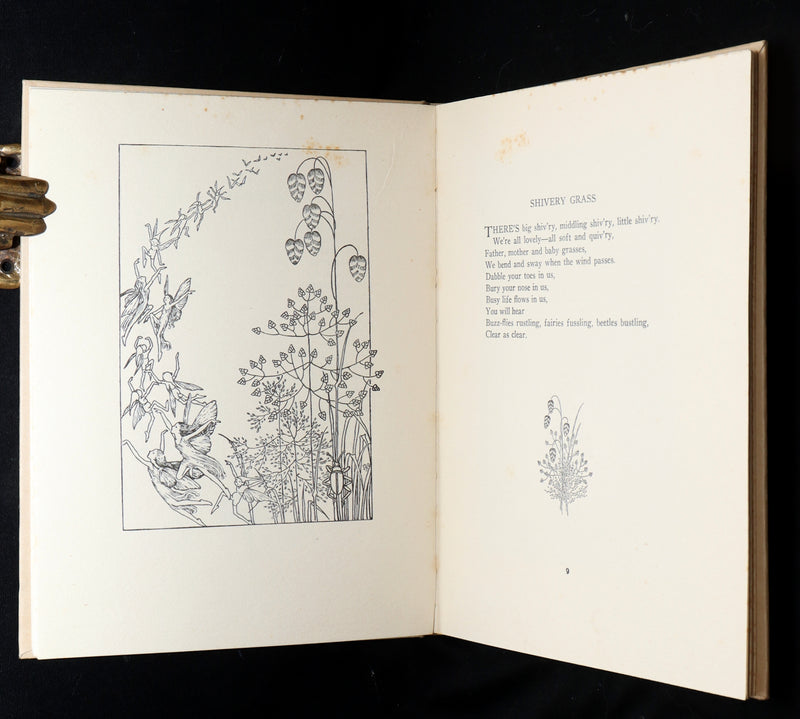 1934 First Edition- A Bunch of Wild Flowers illustrated by Ida Rentoul Outhwaite