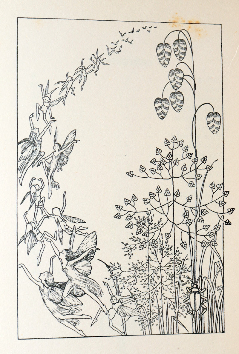 1934 First Edition- A Bunch of Wild Flowers illustrated by Ida Rentoul Outhwaite