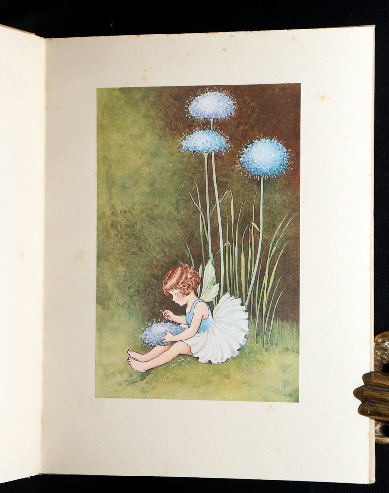 1934 First Edition- A Bunch of Wild Flowers illustrated by Ida Rentoul Outhwaite