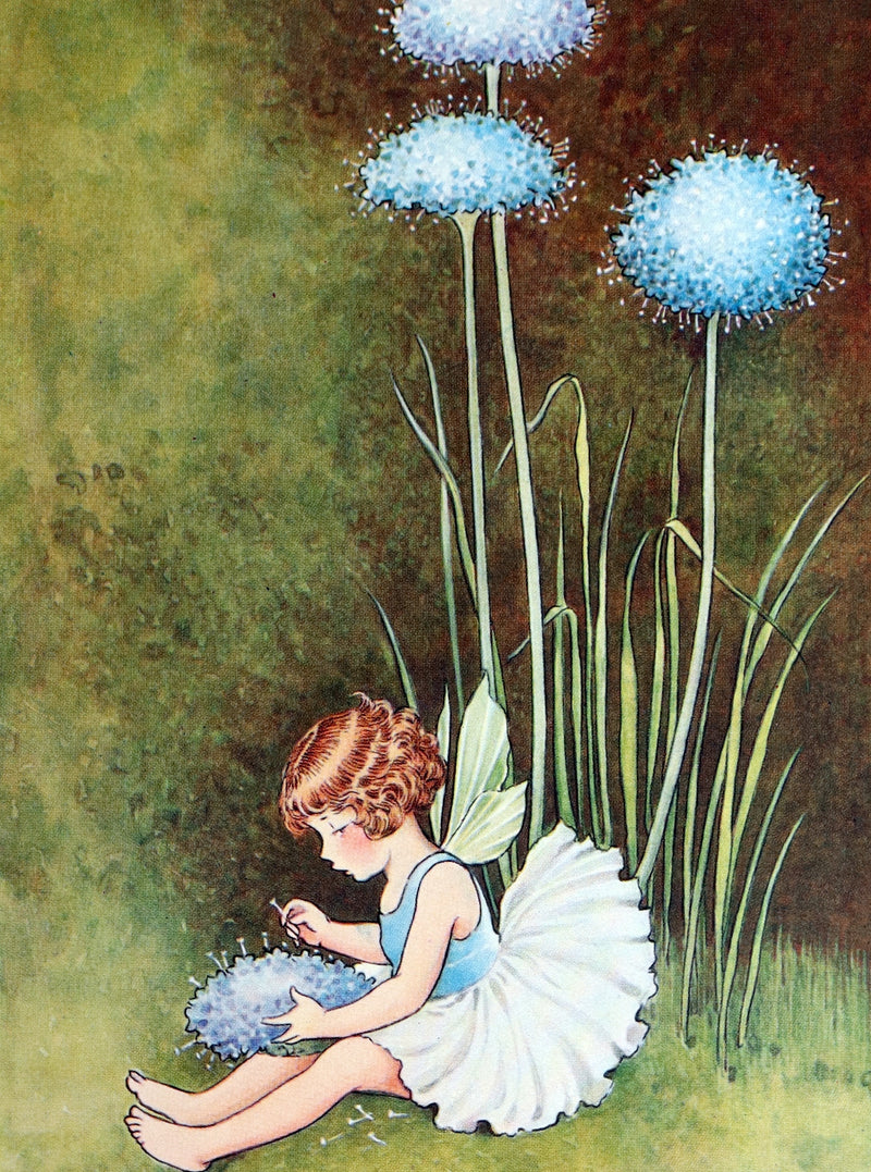 1934 First Edition- A Bunch of Wild Flowers illustrated by Ida Rentoul Outhwaite