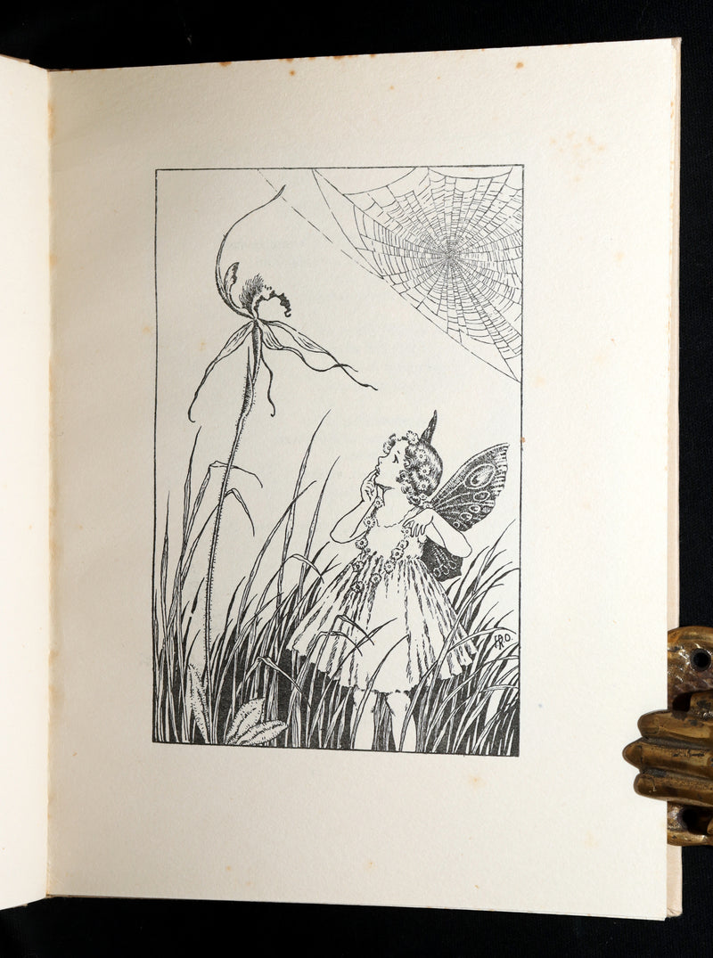 1934 First Edition- A Bunch of Wild Flowers illustrated by Ida Rentoul Outhwaite
