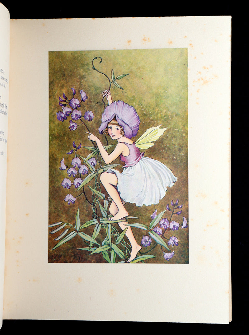 1934 First Edition- A Bunch of Wild Flowers illustrated by Ida Rentoul Outhwaite