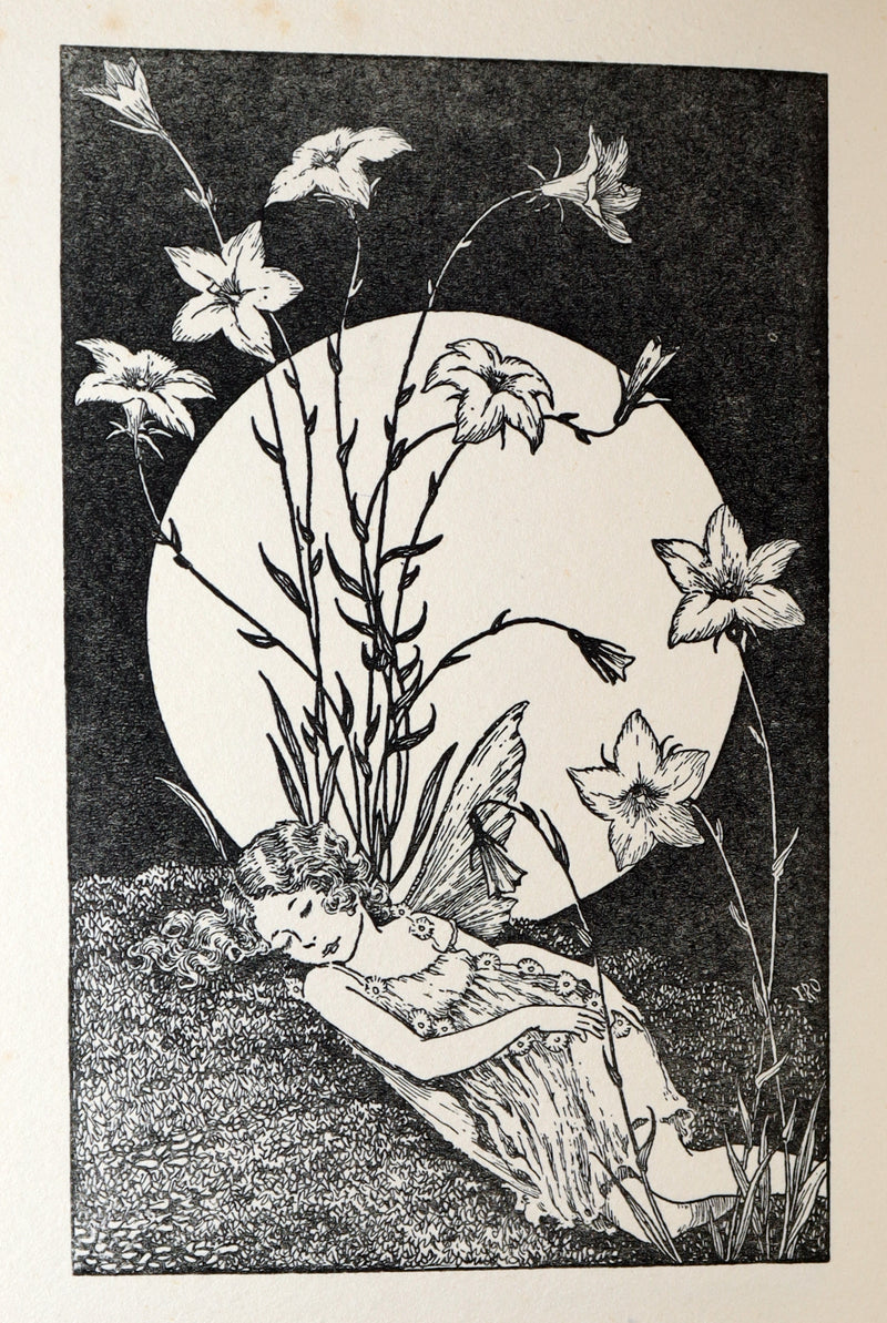 1934 First Edition- A Bunch of Wild Flowers illustrated by Ida Rentoul Outhwaite