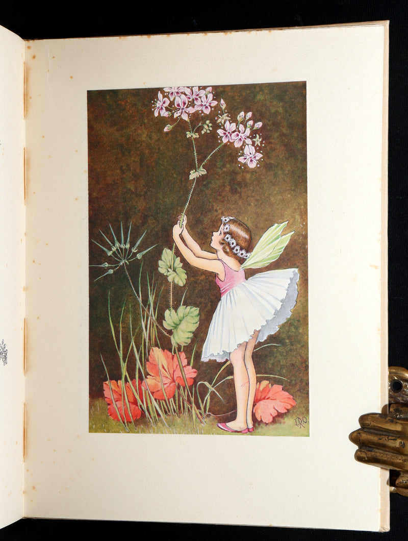 1934 First Edition- A Bunch of Wild Flowers illustrated by Ida Rentoul Outhwaite