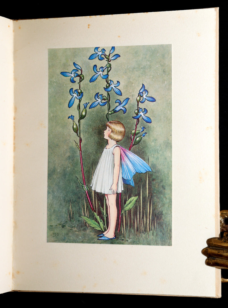 1934 First Edition- A Bunch of Wild Flowers illustrated by Ida Rentoul Outhwaite