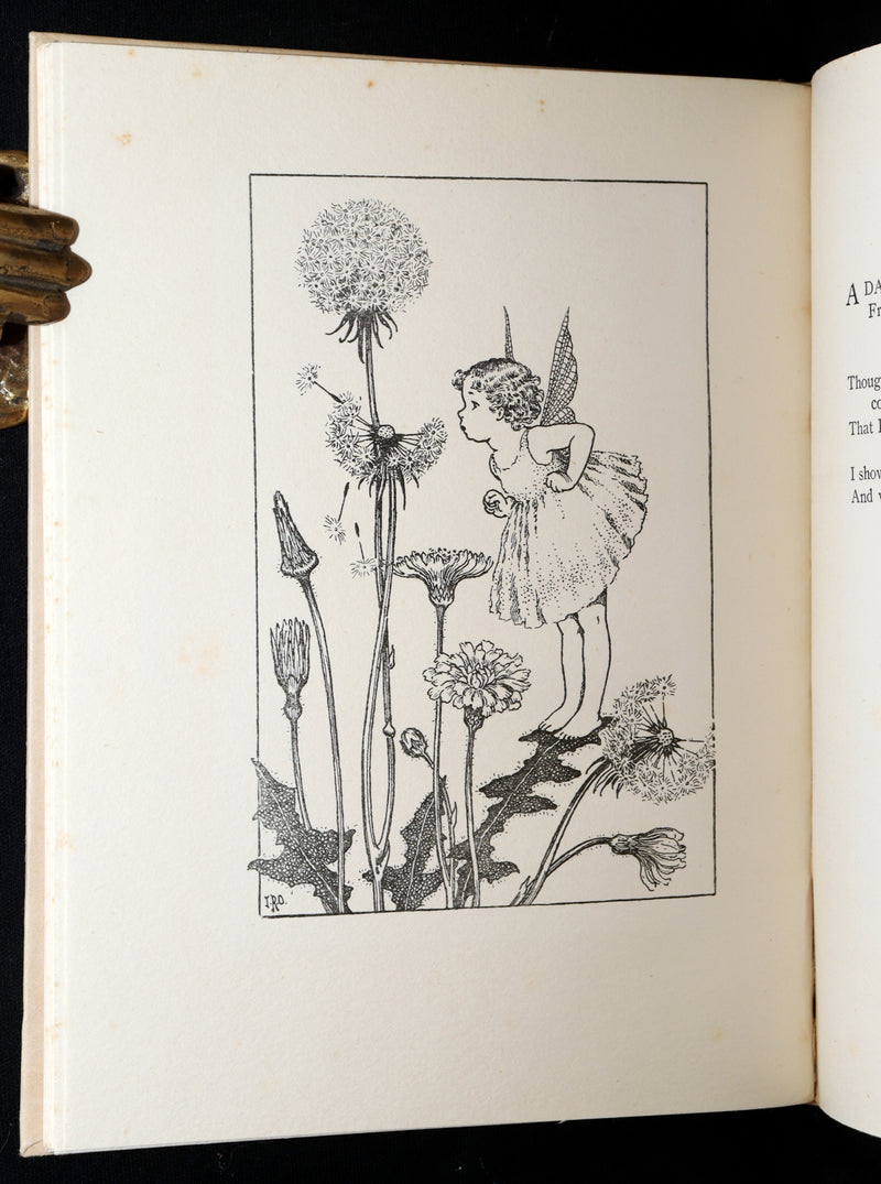 1934 First Edition- A Bunch of Wild Flowers illustrated by Ida Rentoul Outhwaite