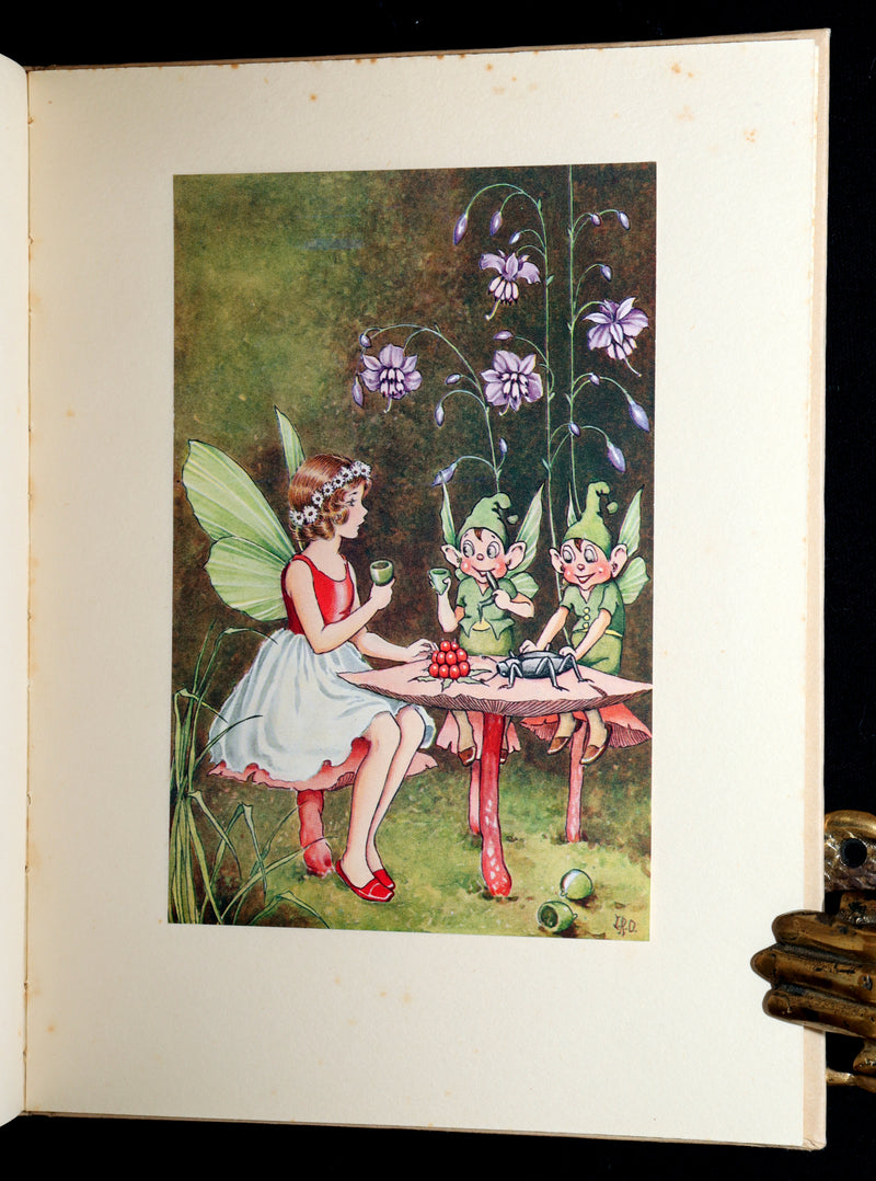 1934 First Edition- A Bunch of Wild Flowers illustrated by Ida Rentoul Outhwaite