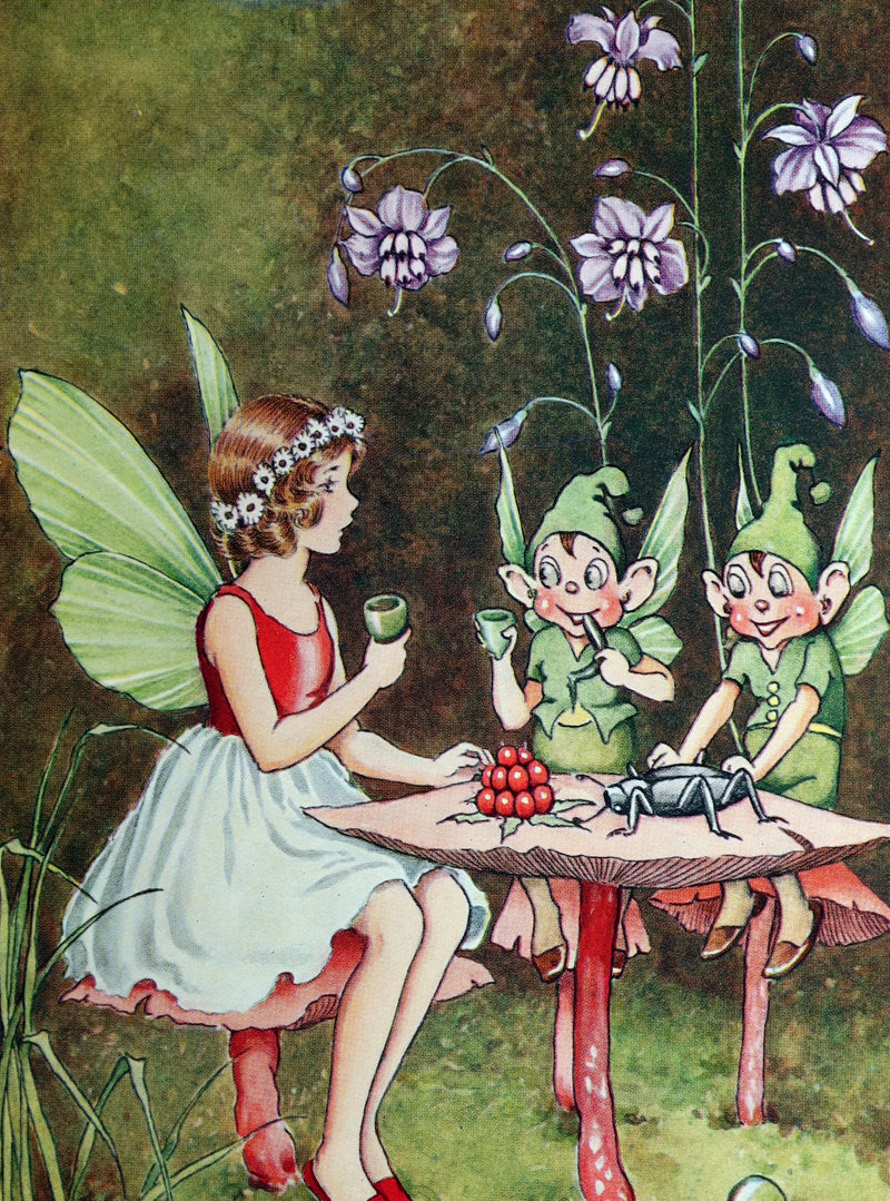 1934 First Edition- A Bunch of Wild Flowers illustrated by Ida Rentoul Outhwaite