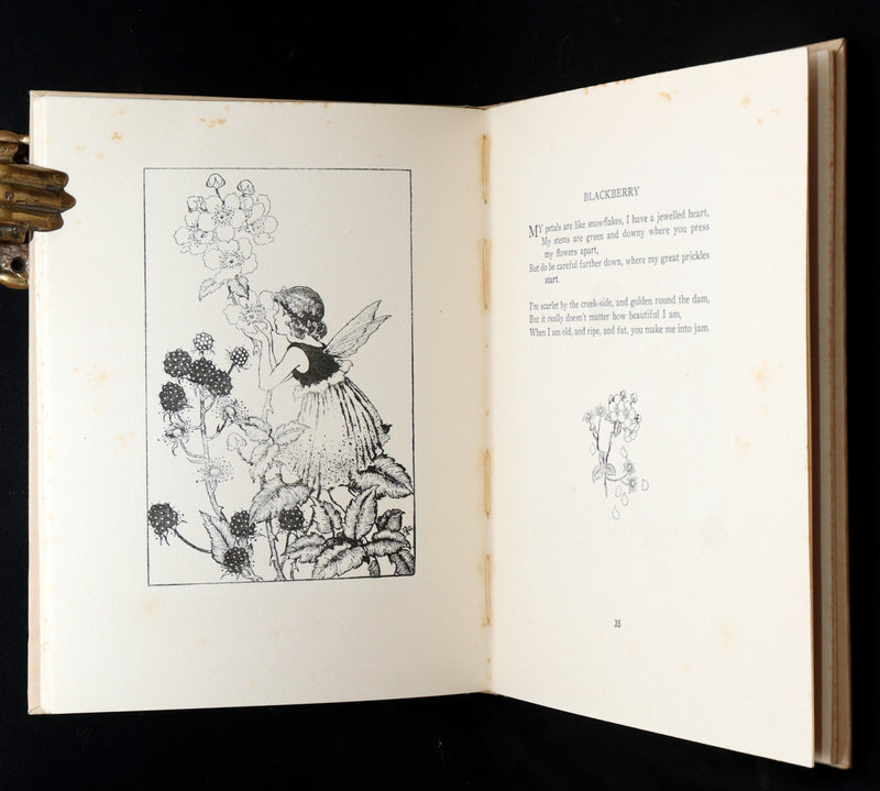 1934 First Edition- A Bunch of Wild Flowers illustrated by Ida Rentoul Outhwaite