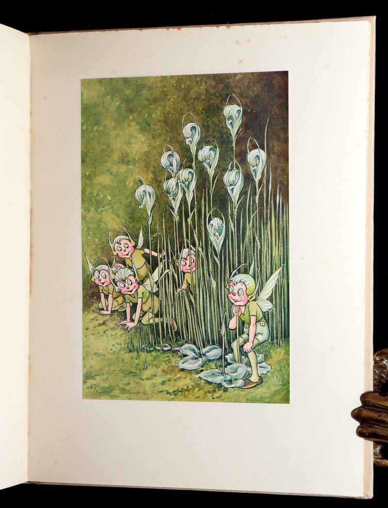1934 First Edition- A Bunch of Wild Flowers illustrated by Ida Rentoul Outhwaite