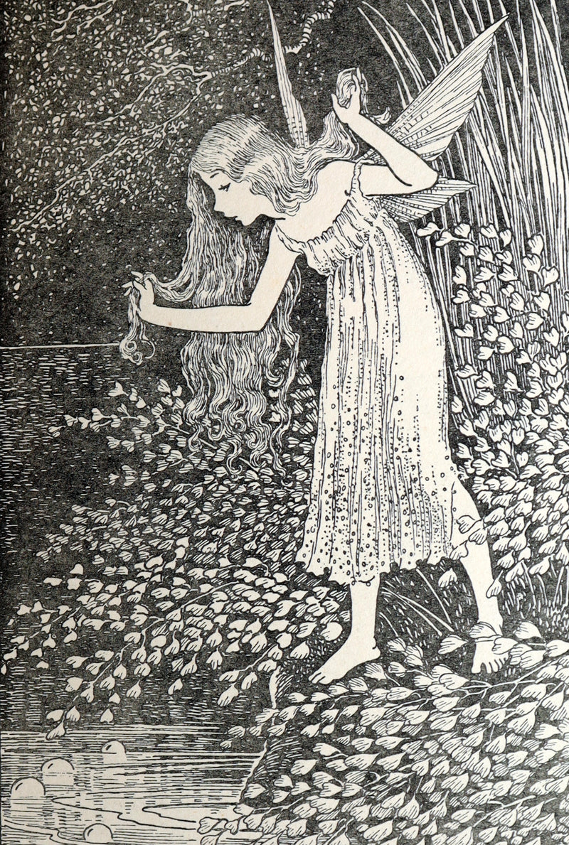 1934 First Edition- A Bunch of Wild Flowers illustrated by Ida Rentoul Outhwaite