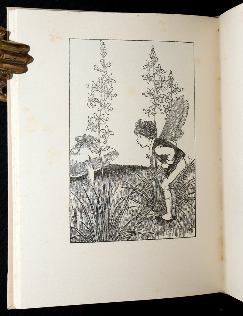 1934 First Edition- A Bunch of Wild Flowers illustrated by Ida Rentoul Outhwaite