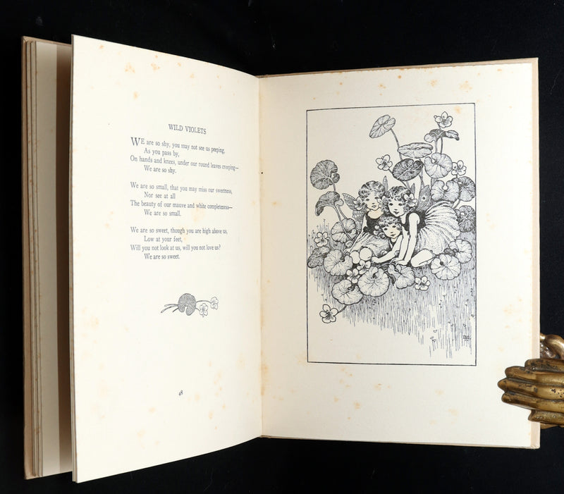 1934 First Edition- A Bunch of Wild Flowers illustrated by Ida Rentoul Outhwaite