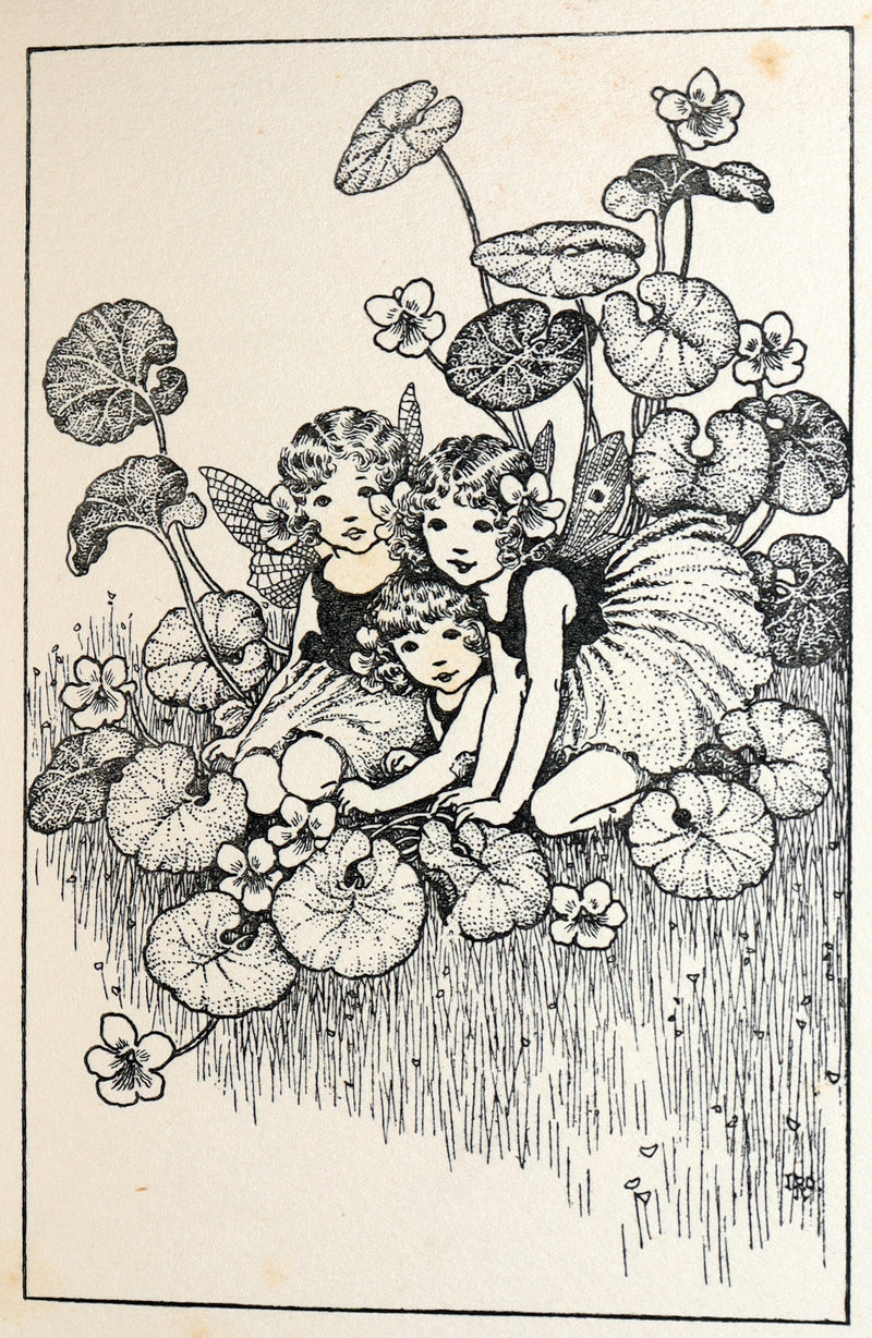 1934 First Edition- A Bunch of Wild Flowers illustrated by Ida Rentoul Outhwaite