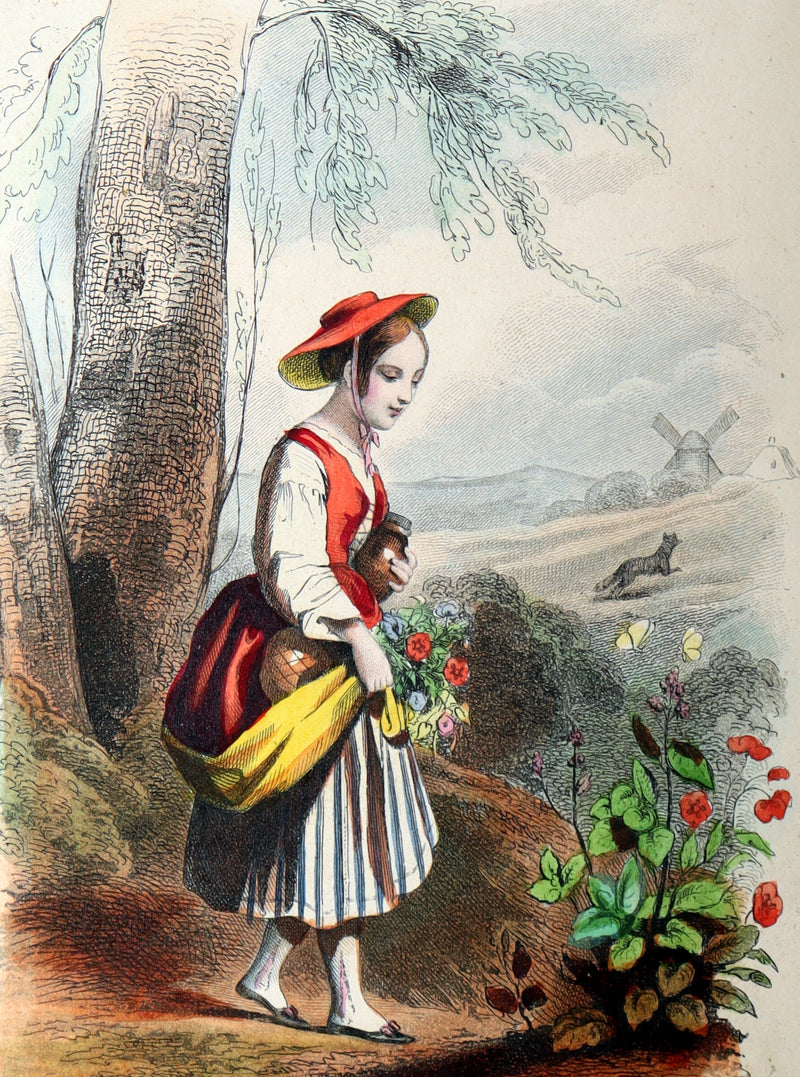 1850 French First Illustrated Edition by the Pauquet brothers - Contes des Fees