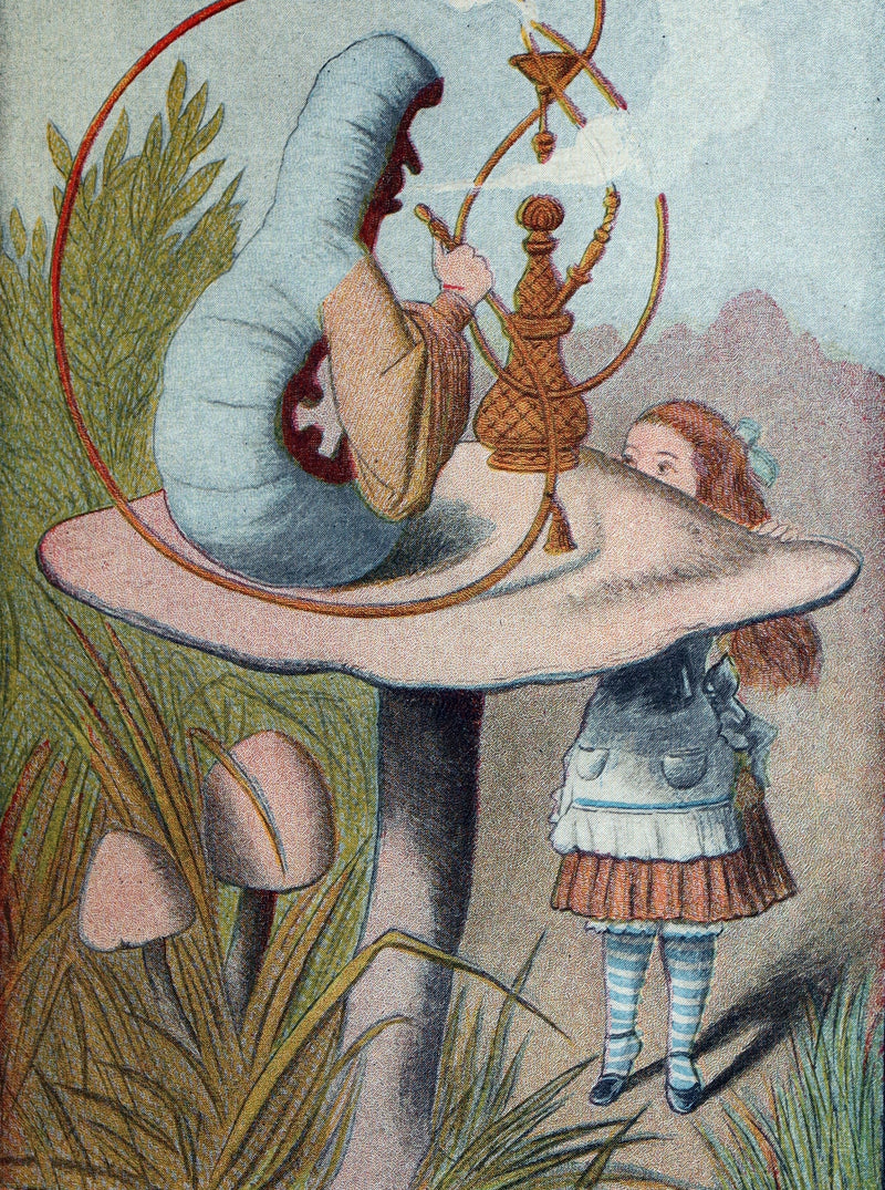 1897 Rare Book - Alice's Adventures in Wonderland by Lewis Carroll