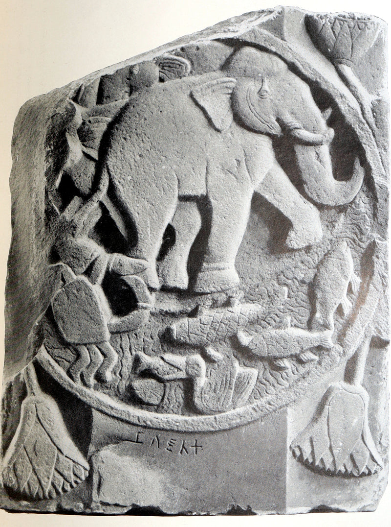 1916 First Edition - Jataka Tales on  lives of the Buddha by Francis and Thomas