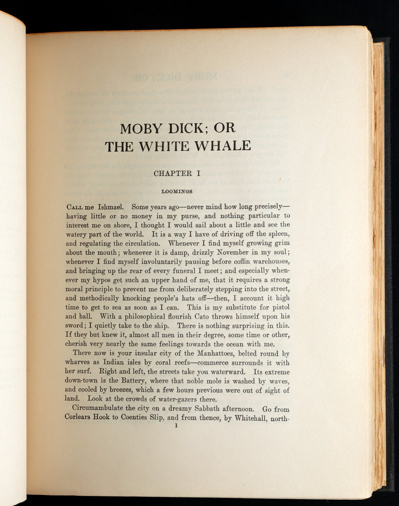 1923 Rare Book - Moby Dick or The White Whale illustrated by Mead Schaeffer