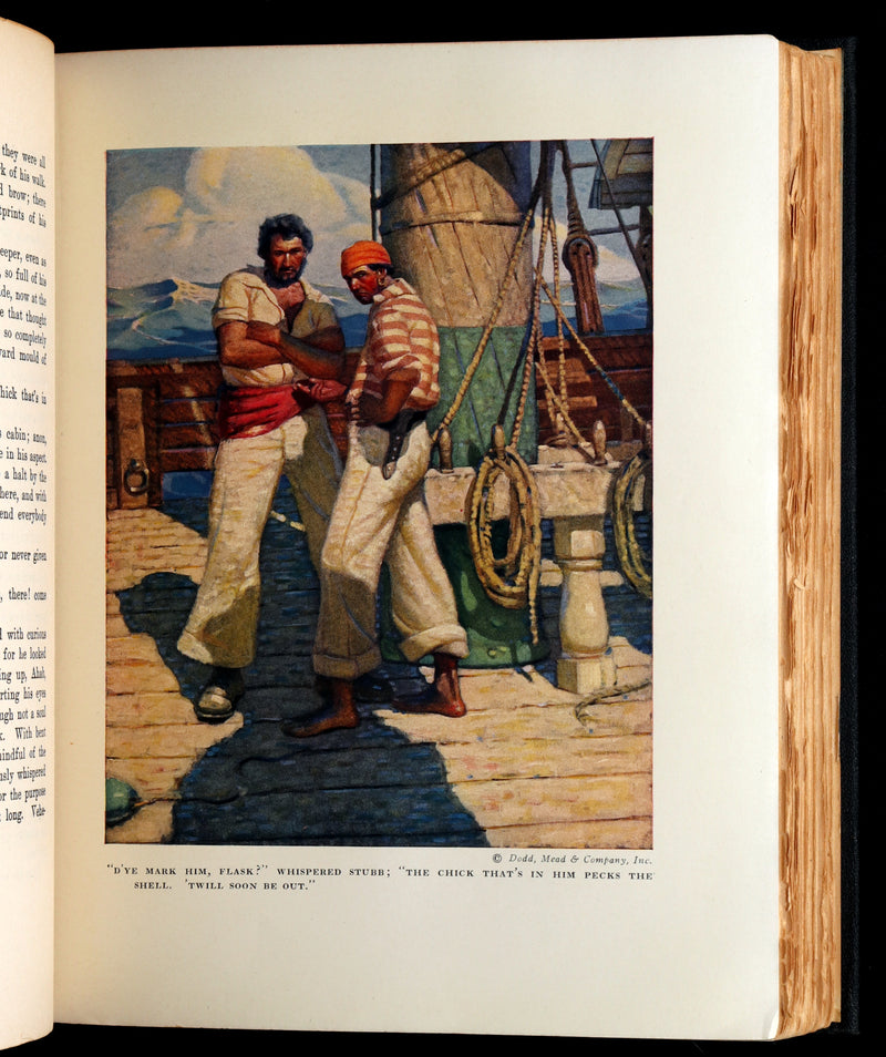1923 Rare Book - Moby Dick or The White Whale illustrated by Mead Schaeffer