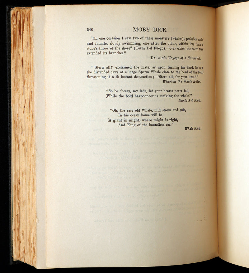 1923 Rare Book - Moby Dick or The White Whale illustrated by Mead Schaeffer