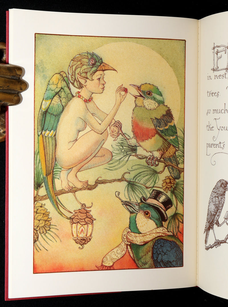 1997 First Edition - Charles van Sandwyk’s Pocket Guide to the Little People