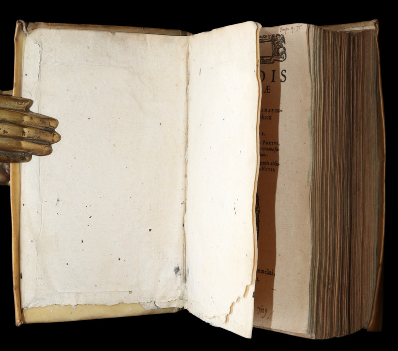 1597 Rare Greek Latin Vellum Book - The Tragedies of Euripides