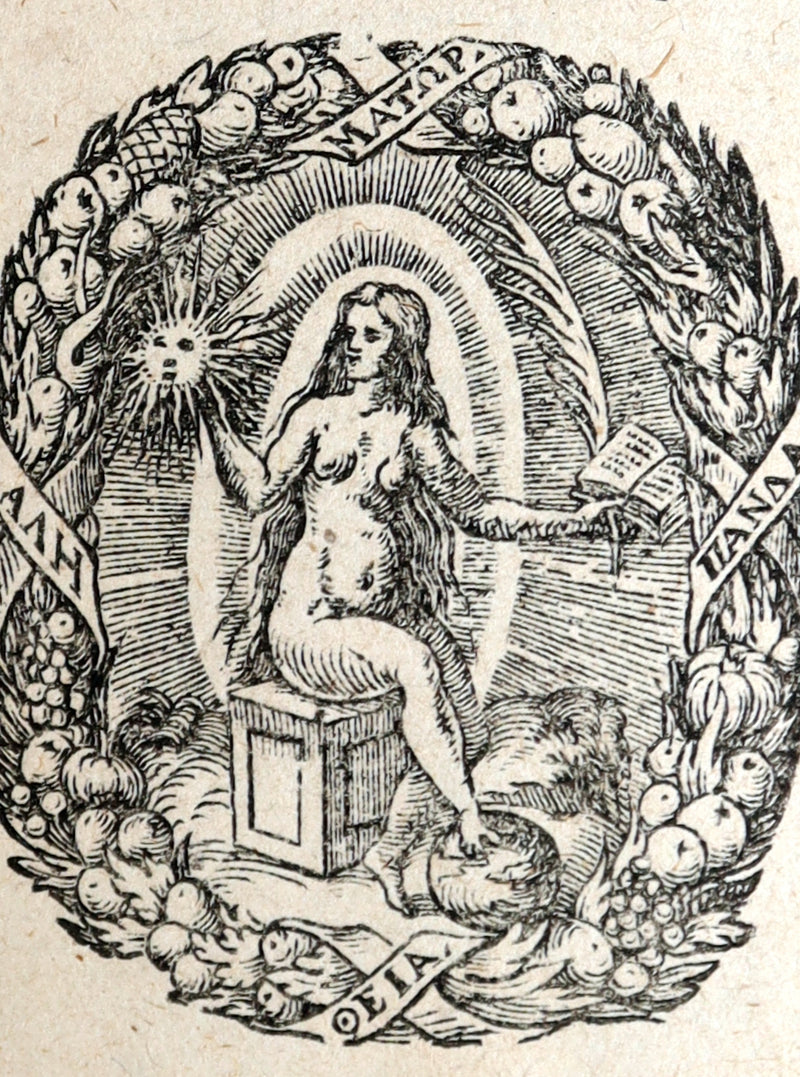 1597 Rare Greek Latin Vellum Book - The Tragedies of Euripides