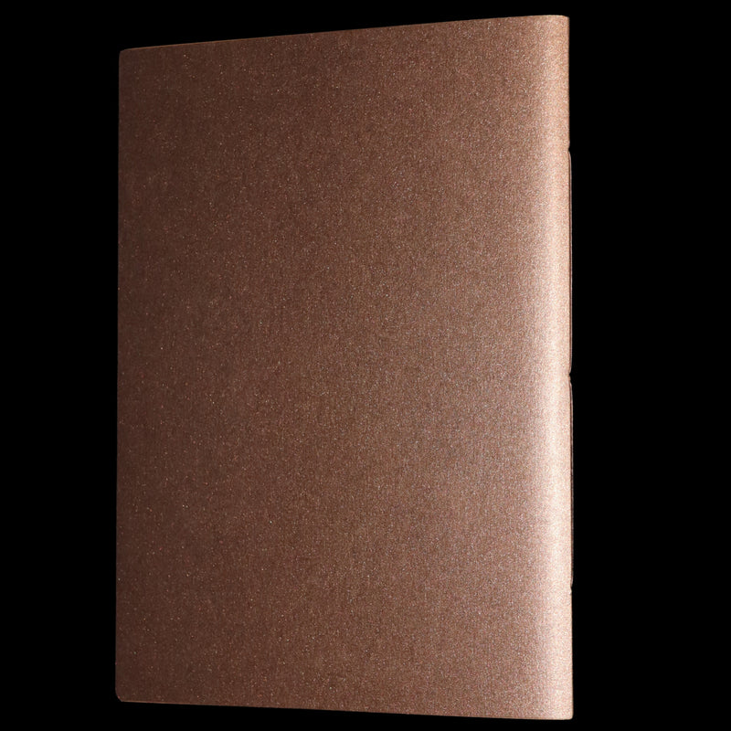 2013 Rare Book - An Unexpected Gift, A Christmas Tale by Charles van Sandwyk