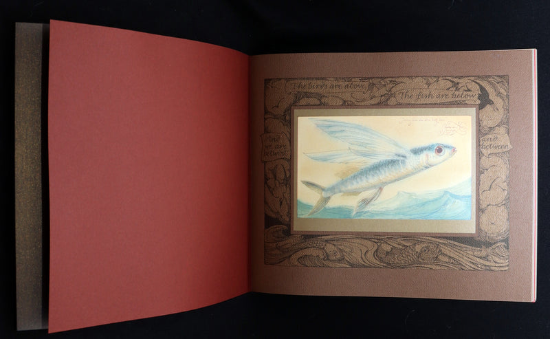 2005 Signed 1stED - Sketches from the Dream Island of Birds, Charles van Sandwyk