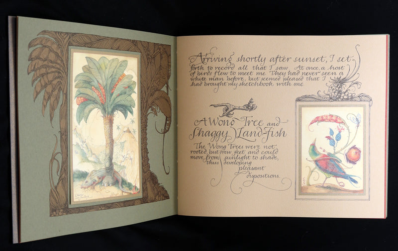 2005 Signed 1stED - Sketches from the Dream Island of Birds, Charles van Sandwyk