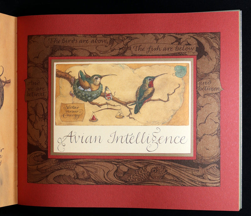 2005 Signed 1stED - Sketches from the Dream Island of Birds, Charles van Sandwyk