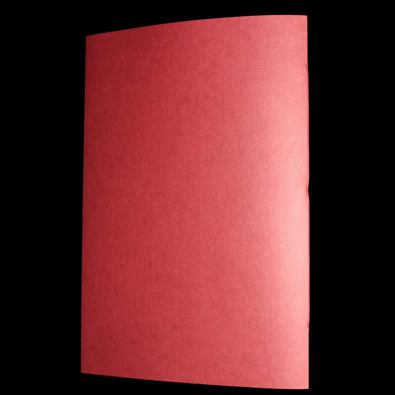 2009 Rare Signed Book - Canadian Content illustrated by Charles van Sandwyk