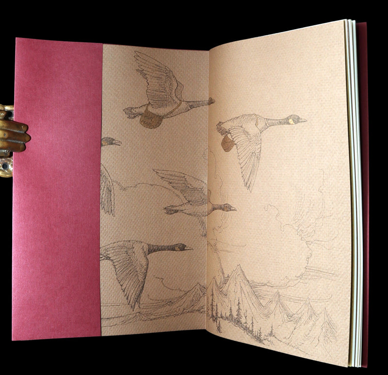 2009 Rare Signed Book - Canadian Content illustrated by Charles van Sandwyk