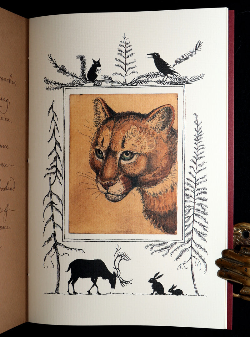 2009 Rare Signed Book - Canadian Content illustrated by Charles van Sandwyk