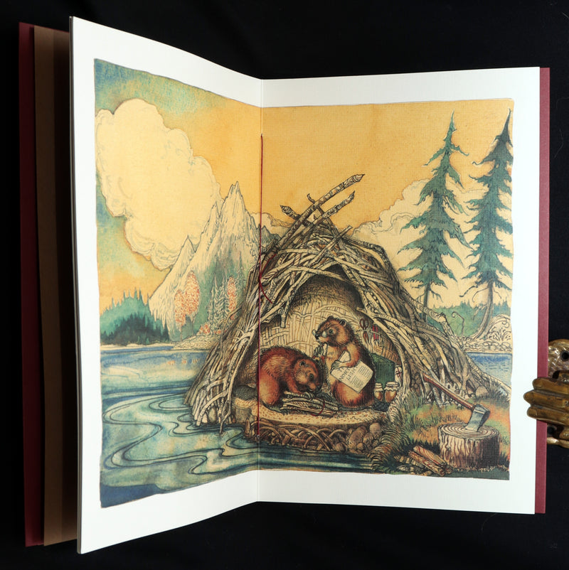 2009 Rare Signed Book - Canadian Content illustrated by Charles van Sandwyk