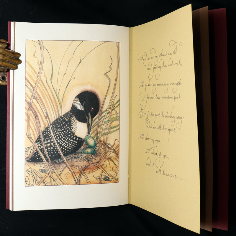 2009 Rare Signed Book - Canadian Content illustrated by Charles van Sandwyk